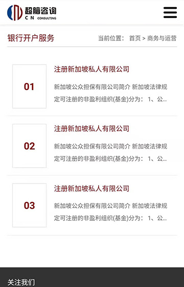 超腦商務咨詢網站案例圖片3